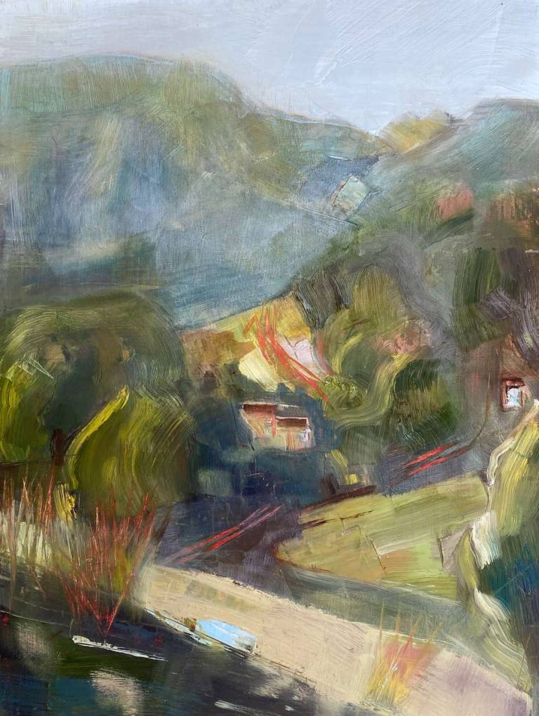 Steep fields - Lyn O'Neill