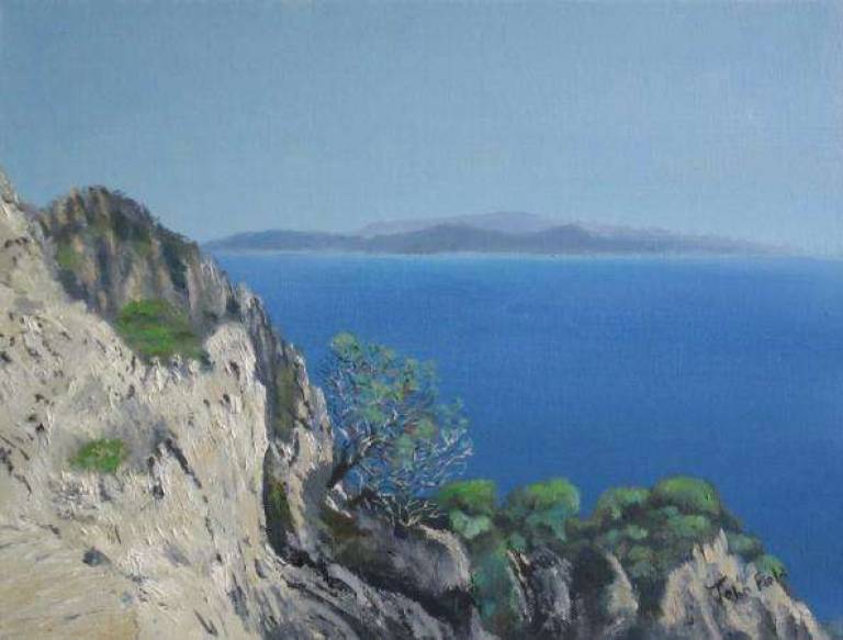 Capri Coast - John Field
