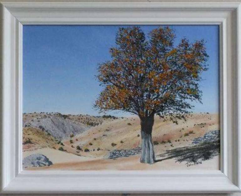 Autumn in Spain,  A Loan Tree - John Field