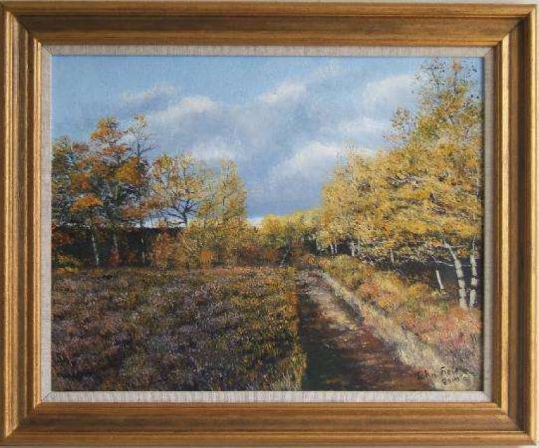 Autumn on Wimbledon Common - John Field