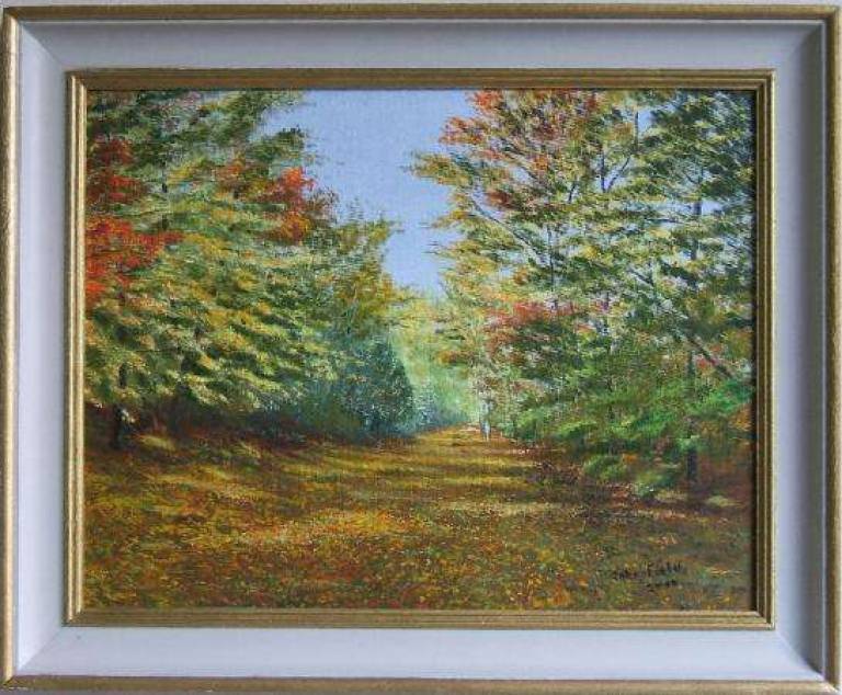 Stone Hill Trail in the Fall - John Field