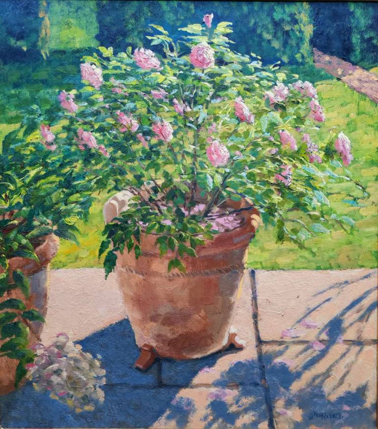 Summer Rose. 2023. - Andrew Cochrane Dixon