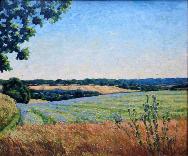 Flax field, Berkhamsted, Hertfordshire. 2023. - Andrew Cochrane Dixon