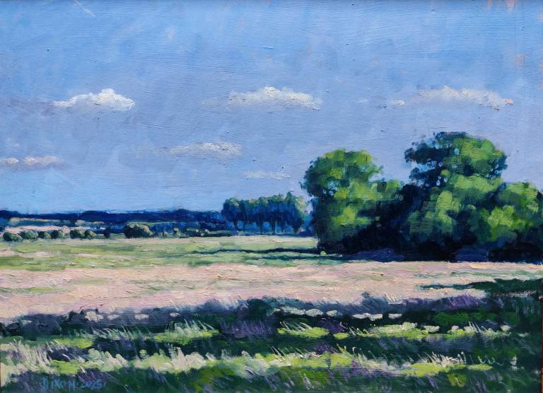 The moor, Claxton, Norfolk. 2025. - Andrew Cochrane Dixon