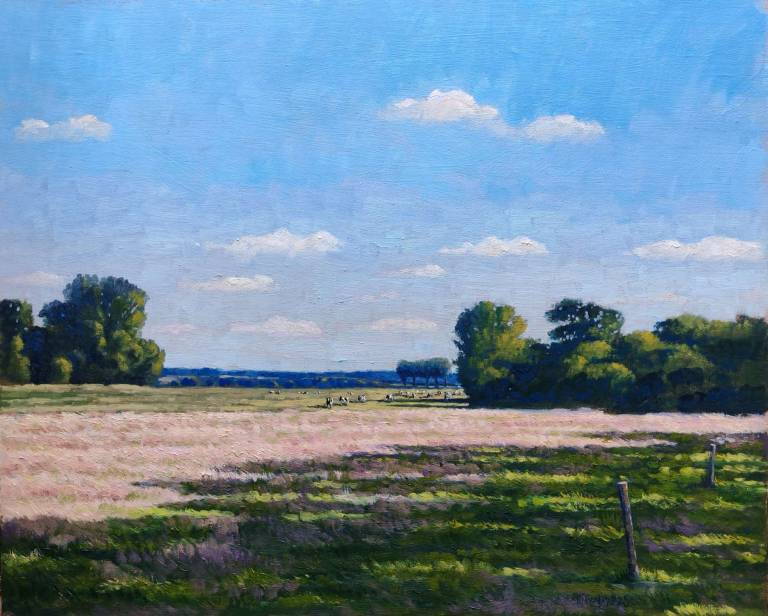 Cows on the Moor, Claxton, Norfolk. 2025. - Andrew Cochrane Dixon