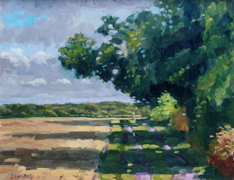 Fields above Berkhamsted, late summer, Hertfordshire. 2025. - Andrew Cochrane Dixon