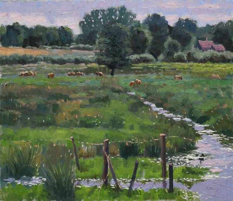 Cows grazing on the moor, Ashby St Mary, Norfolk. - Andrew Cochrane Dixon