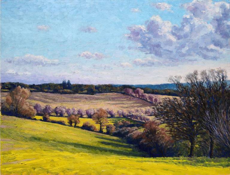 Fields at Berkhamsted, winter 2026. - Andrew Cochrane Dixon