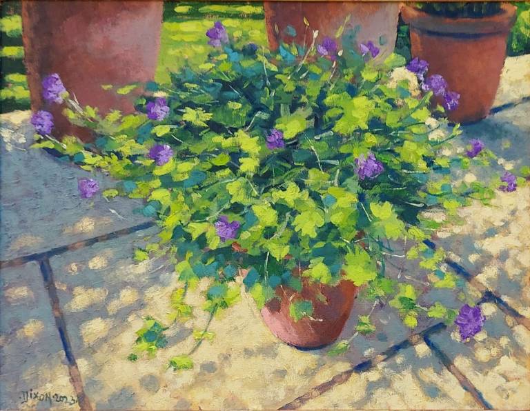 Purple geranium, 2023. - Andrew Cochrane Dixon