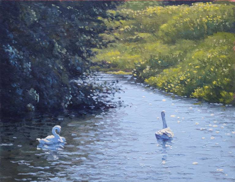 Two swans. 2026. - Andrew Cochrane Dixon