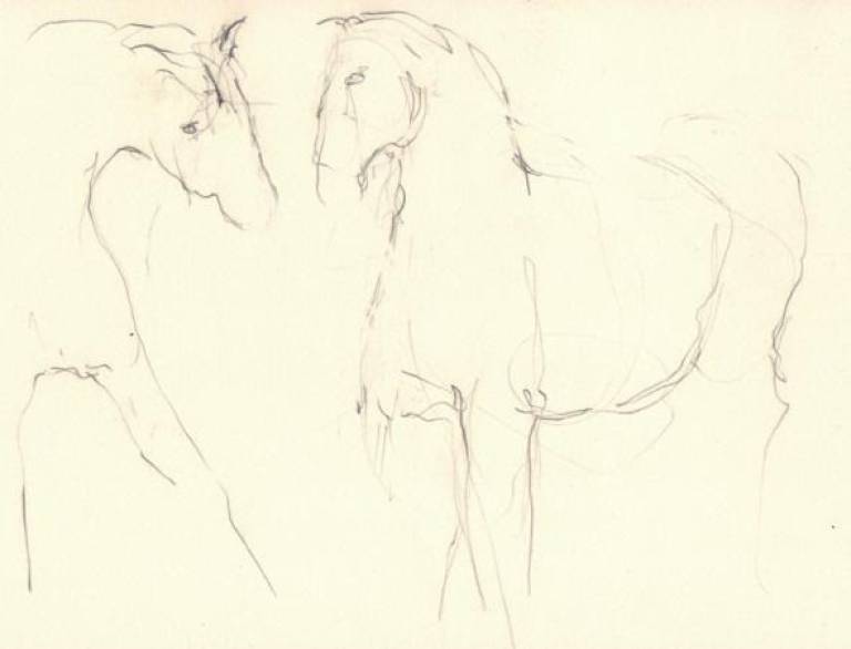 Two horses  - Prue Ann Robinson