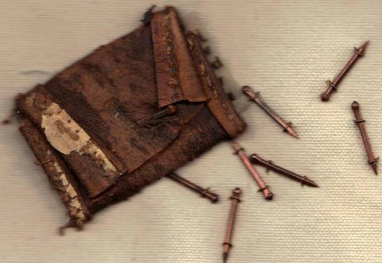 4 - Prue Ann Robinson