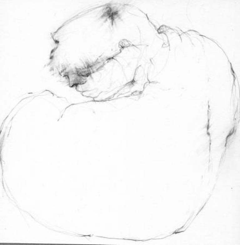 Come to me - Prue Ann Robinson