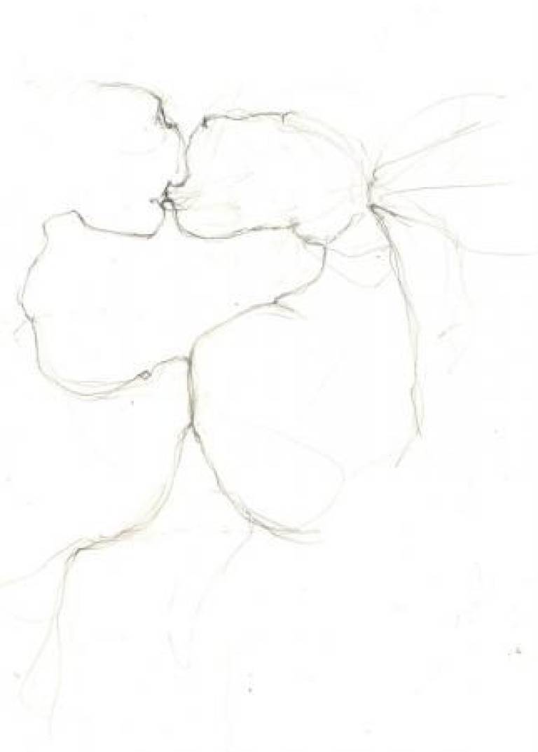 Untitled 2 - Prue Ann Robinson