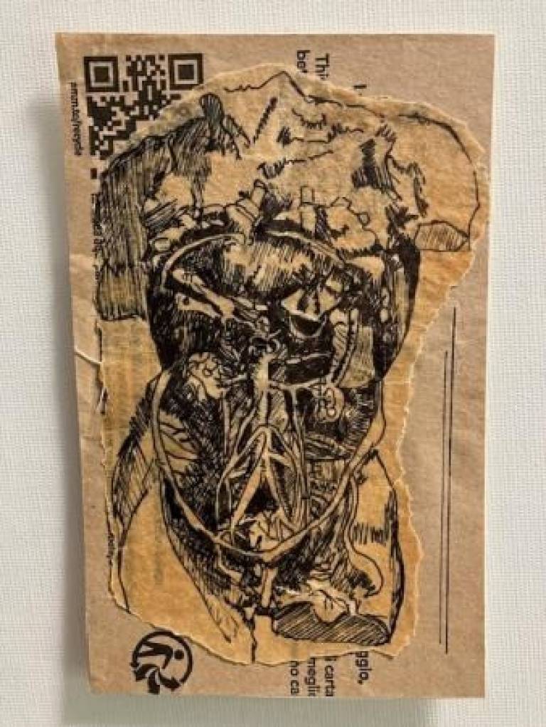 Anatomical work a - Prue Ann Robinson