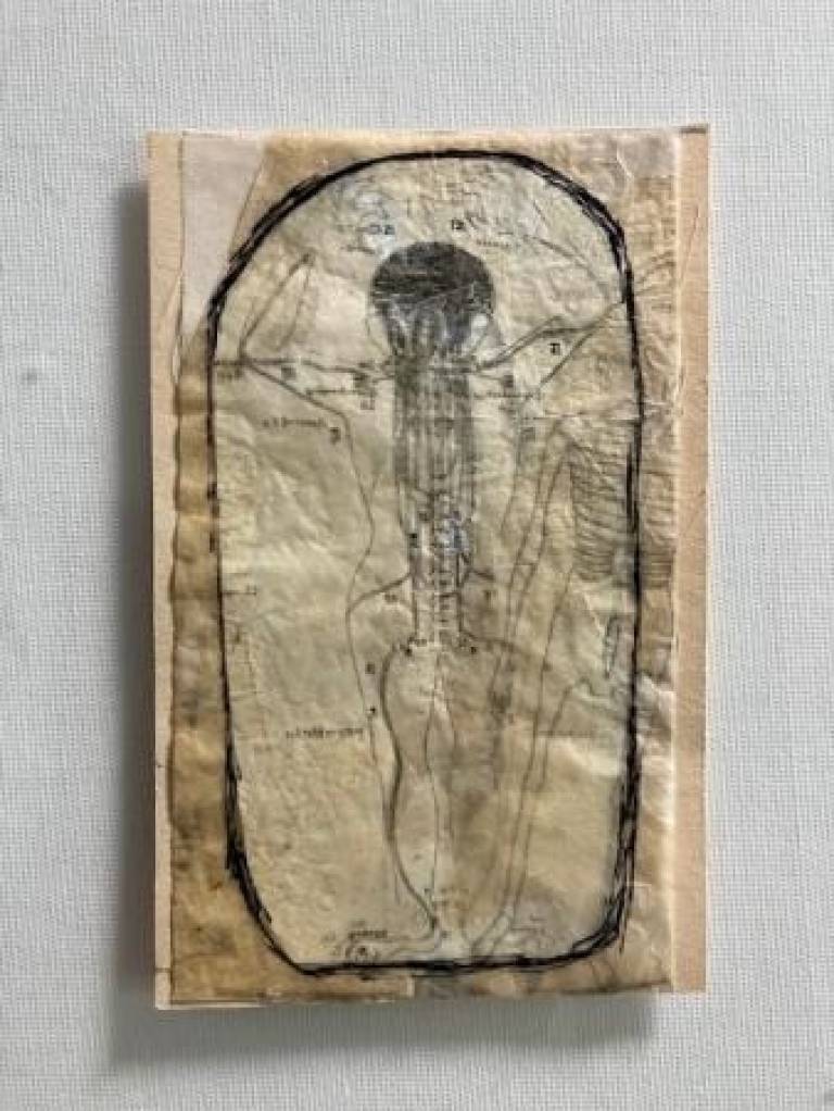 Anatomical work d - Prue Ann Robinson