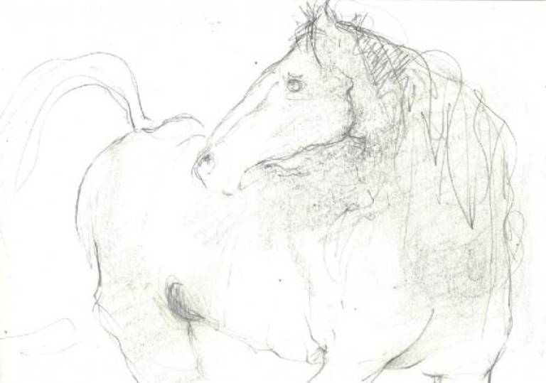 horse c2 - Prue Ann Robinson