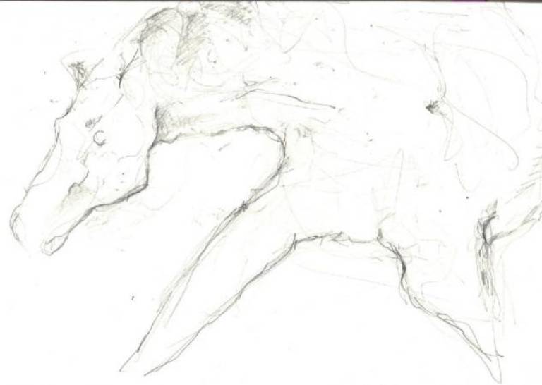 horse d - Prue Ann Robinson