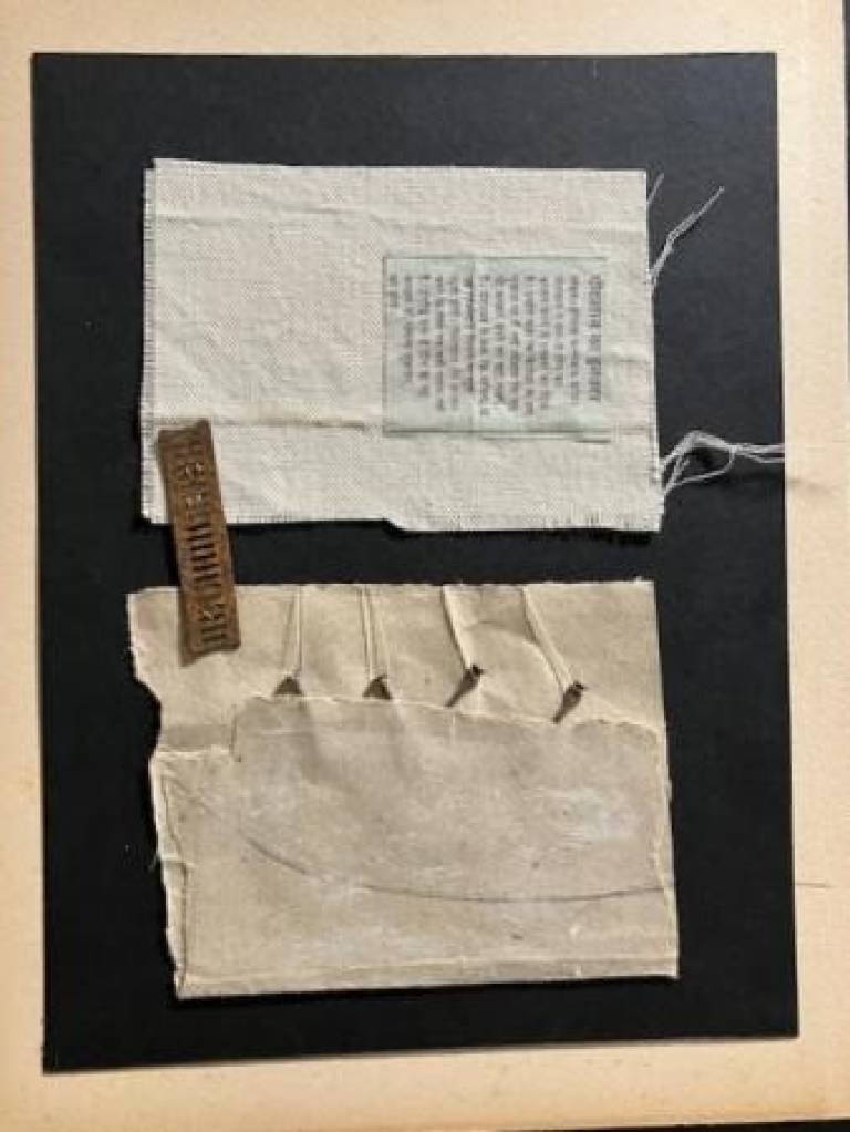 Ladder - Prue Ann Robinson