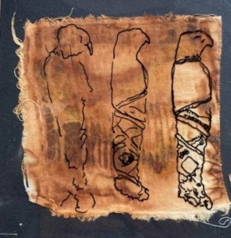 Mummified birds 3 - Prue Ann Robinson