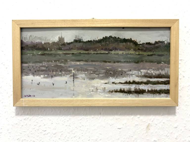 RSPB Nature Reserve, Marshside - Mohamed BENBRAHIM