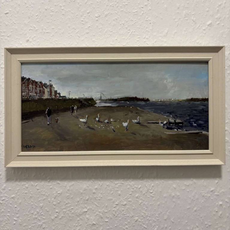 Swans of Marine Lake - Mohamed BENBRAHIM