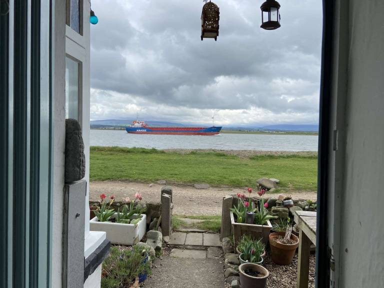 view from my studio - Joanna powell