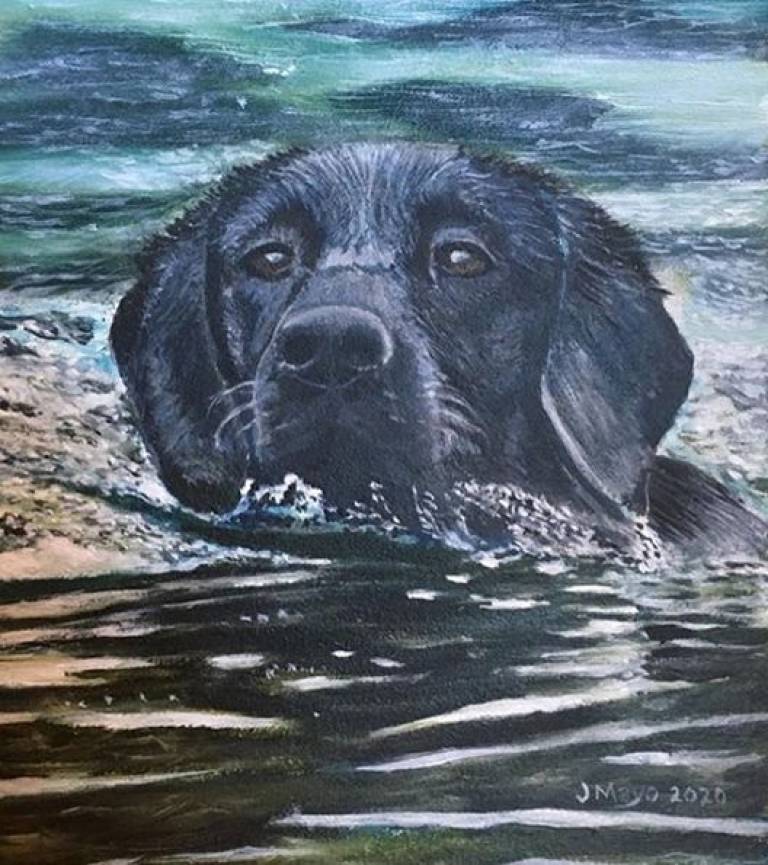 General including Portraits - 