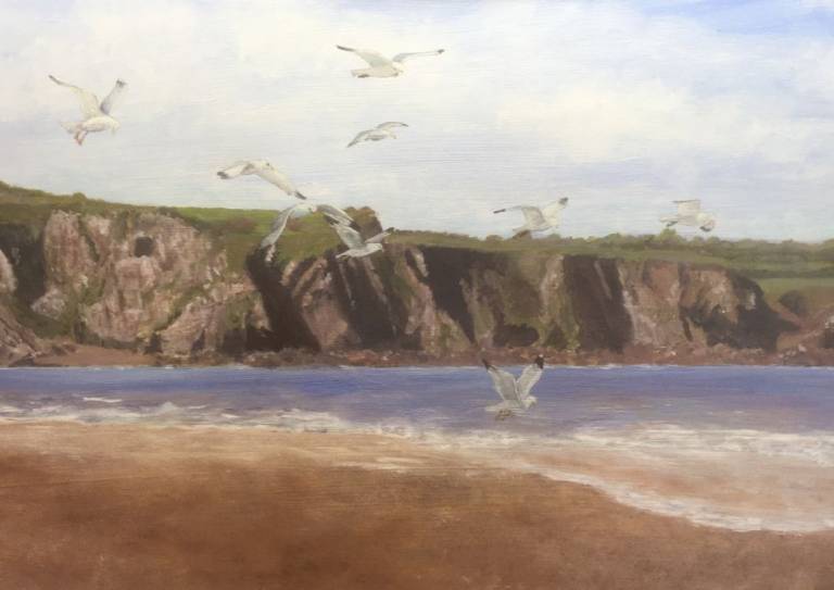 Gulls over The Parrog - John Mayo