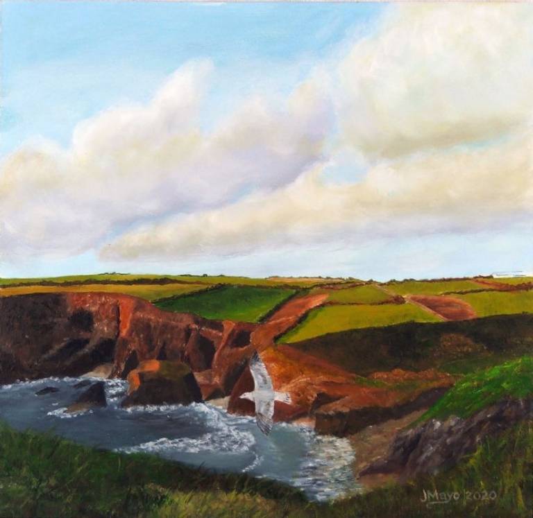 Aberfelin Beach Trefin - John Mayo