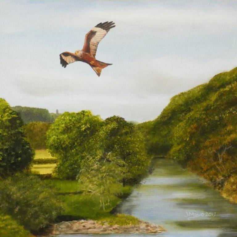 Kite over Llandeilo - John Mayo