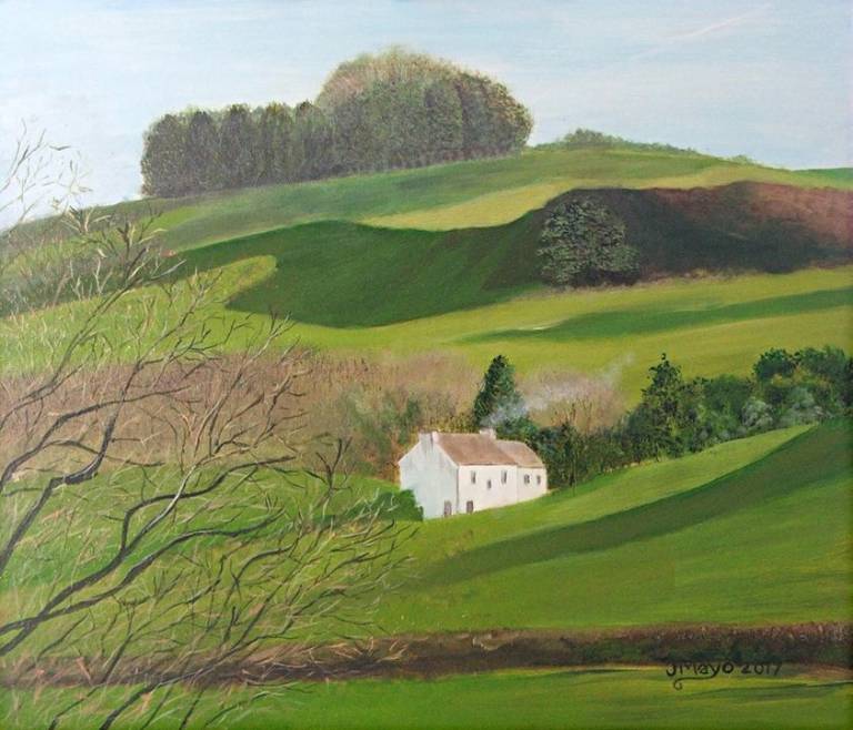 Farm - John Mayo