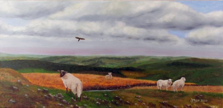 Hawk over the Black Mountains - John Mayo