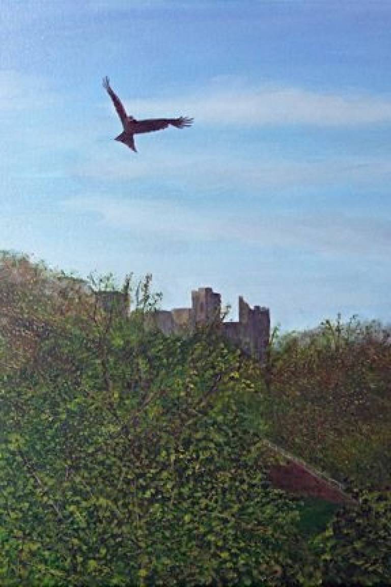 Kite & Castle - John Mayo