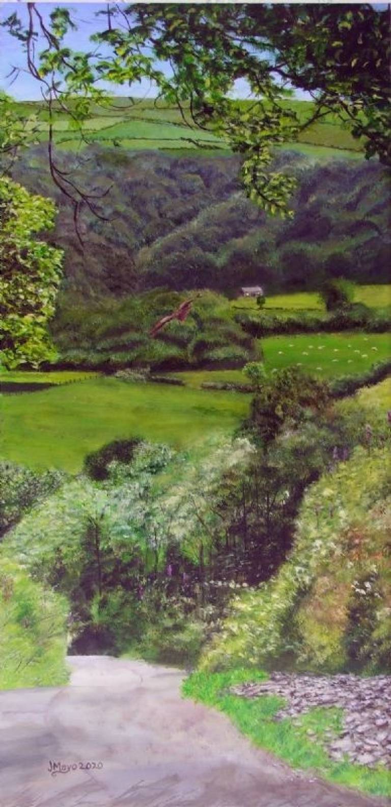 Path with Kite - John Mayo