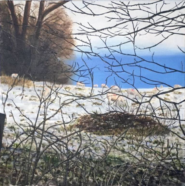 Snowdrops - John Mayo