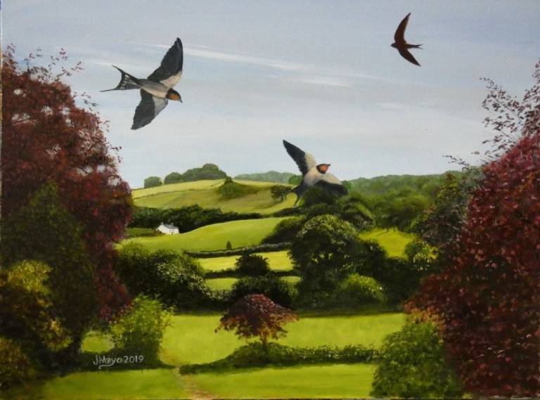 Swallows - John Mayo