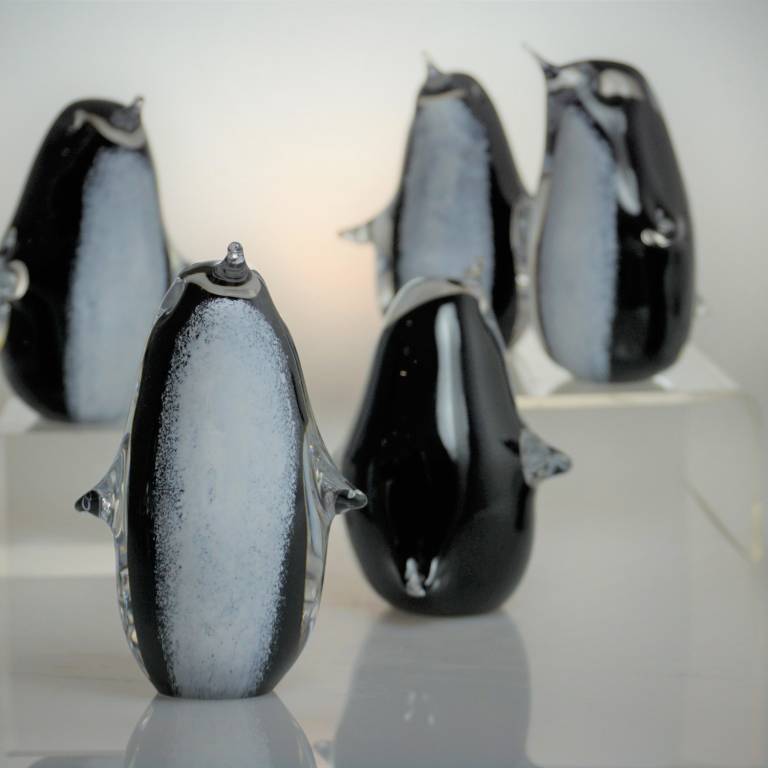 Black & White Penguins