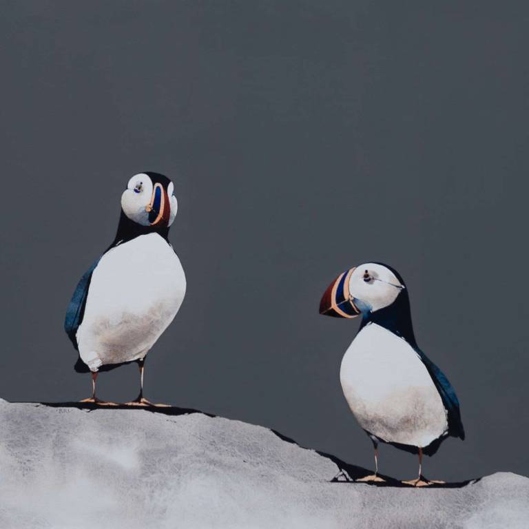 Lunga Puffins (Framed Limited Edition Print)