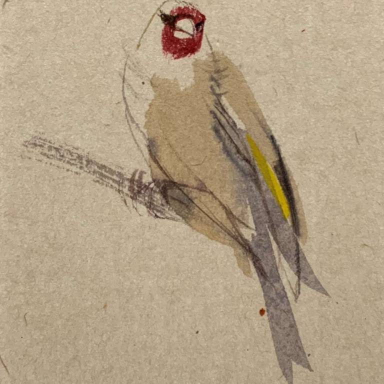 Goldfinch i