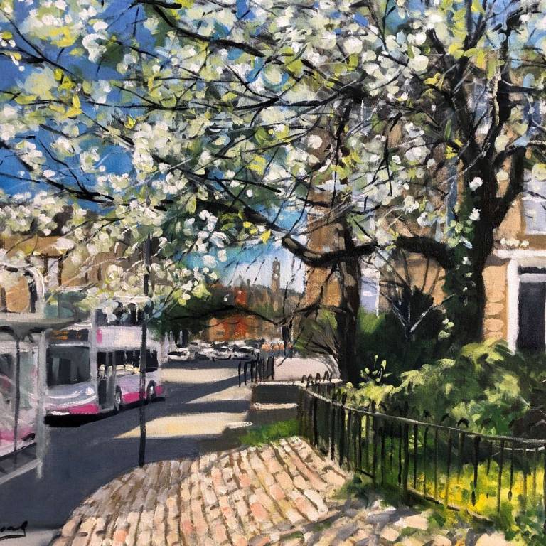 Spring Blossoms, Gt. Western Road