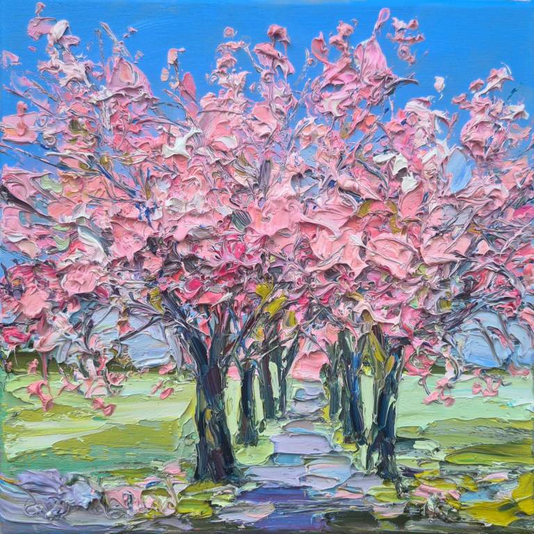 Cherry Trees In Bloom, The Meadows