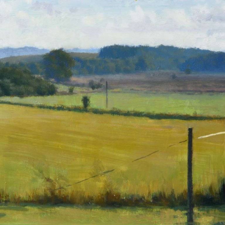 Fields Near Gartcosh