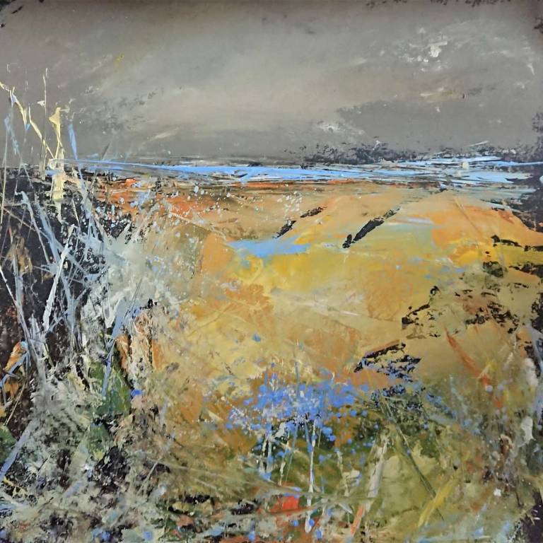 Coastal Fields