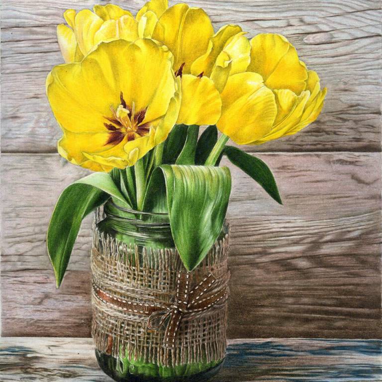Galleries Janie Pirie